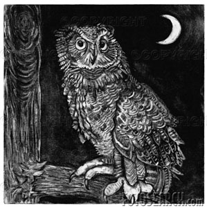 Owl mythology